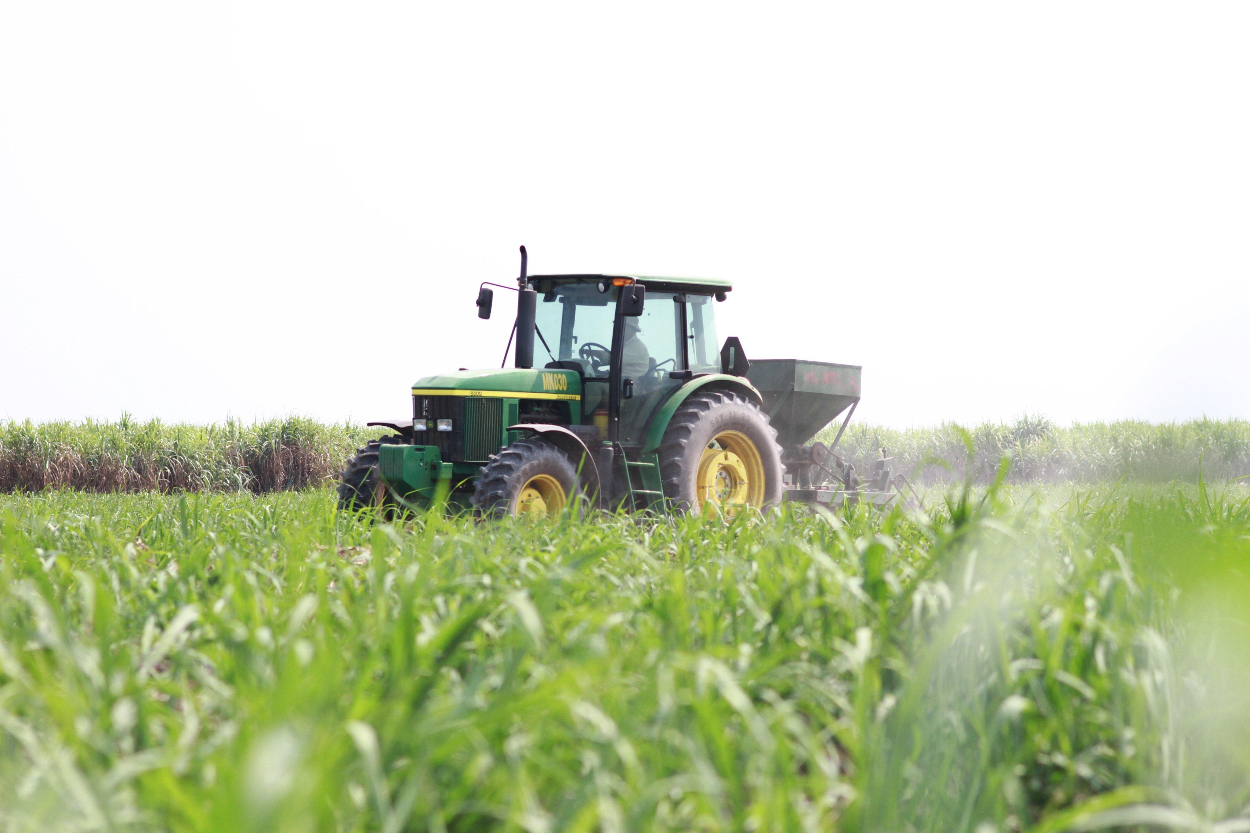 Liên kết chuỗi cần chặt chẽ hơn trong ngành mía đường