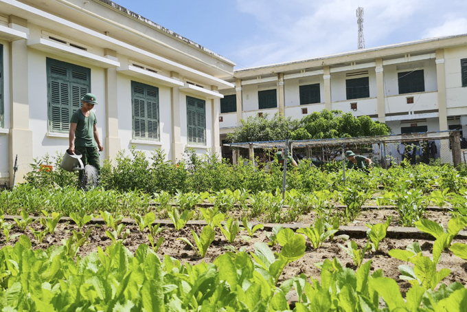 Đồn Biên phòng Đầm Môn: Khắc phục khó khăn để tăng gia sản xuất