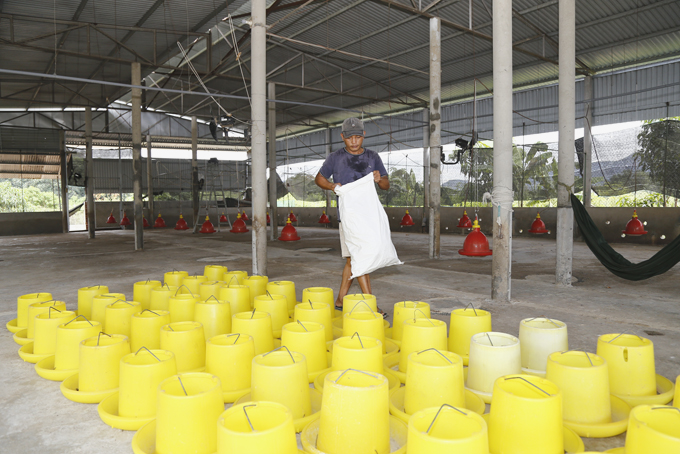 Tổng vệ sinh môi trường chăn nuôi: Triển khai đồng loạt