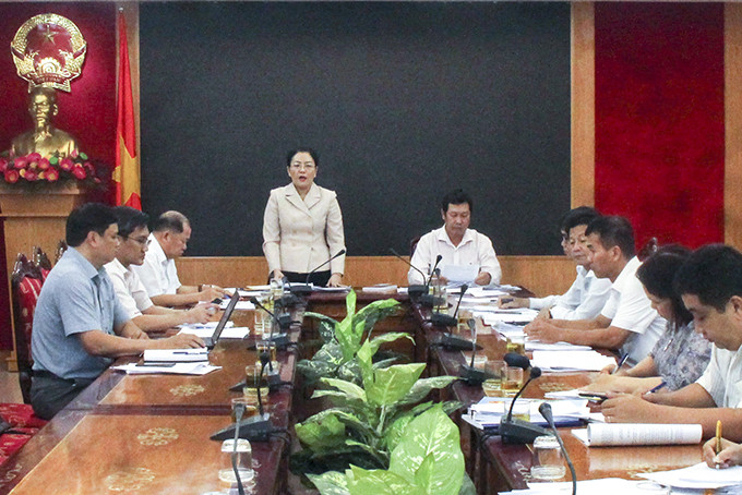 Bà Phạm Thị Xuân Trang phát biểu tại buổi làm việc.