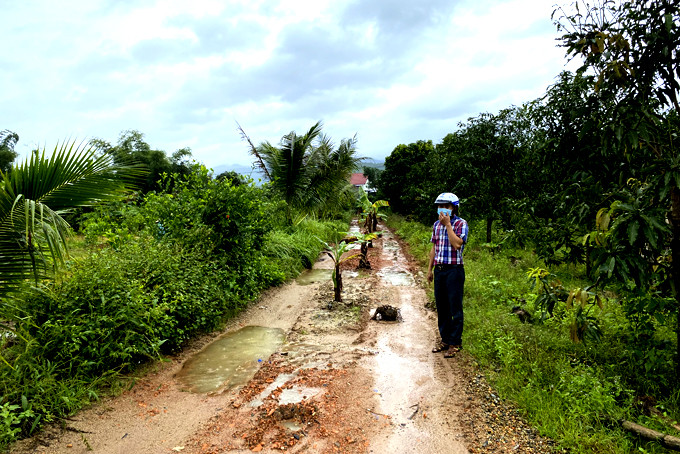 Con đường tự mở để khai thác cát ở xã Diên Thọ đã được rào chắn và trồng chuối (ảnh chụp ngày 7-12).