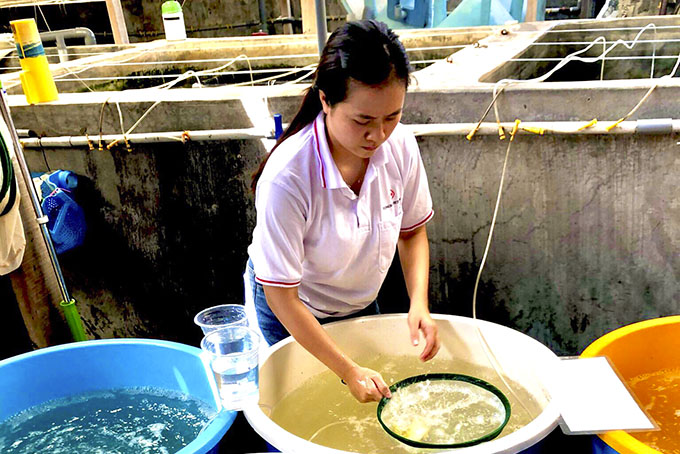 Tiếp tục định hướng sinh viên tham dự giải Euréka