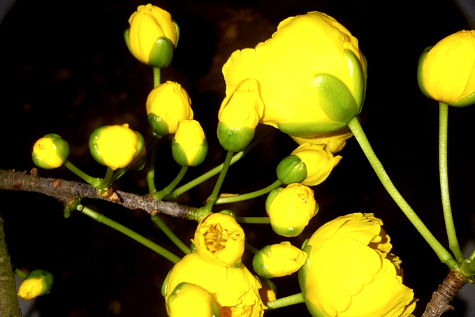 Mùa xuân mới đang về