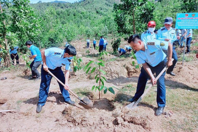 Lực lượng Quản lý thị trường tỉnh phối hợp trồng 1.000 cây xanh tại Trạm Quản lý bảo vệ rừng Sơn Tân, huyện Cam Lâm.