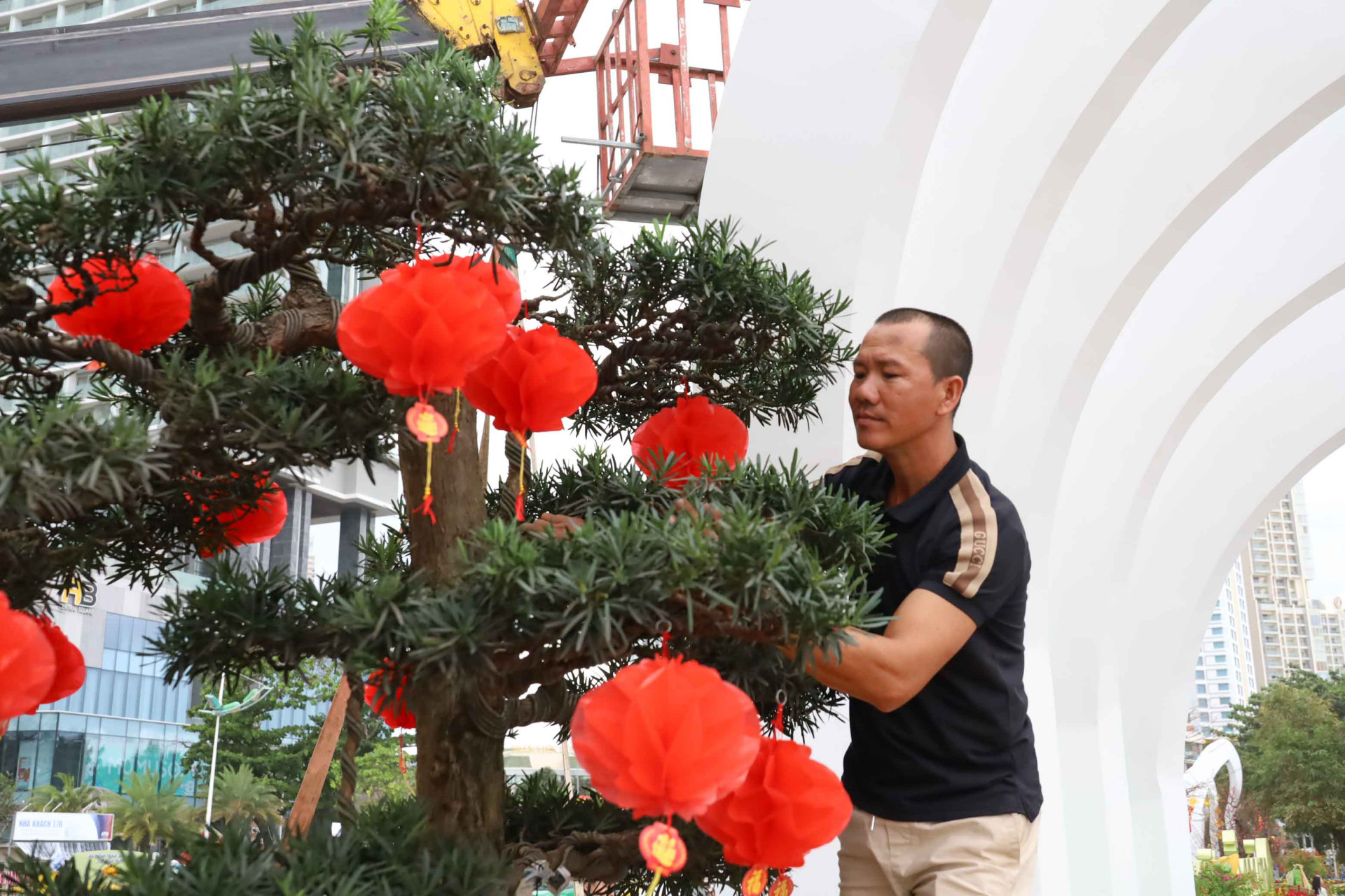 Nghệ nhân đang trang trí cho cây tùng cổ thụ được trưng bày ở khu vực sân Tháp Trầm hương. 