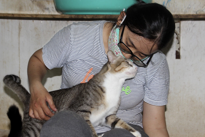 Chị Nguyễn Hoàng Chi luôn dành tình thương yêu  dành cho chú chó, mèo bị bỏ rơi.