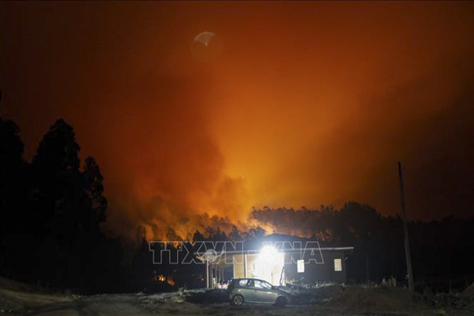 Cháy rừng tại Santa Juana, tỉnh Concepcion, Chile, ngày 3/2/2023. Ảnh: AFP/TTXVN