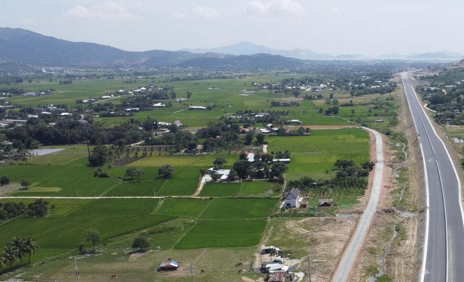 Thủ tướng Chính phủ ban hành Quyết định cho phép Khánh Hòa chuyển mục đích sử dụng đất lúa quy mô dưới 500ha