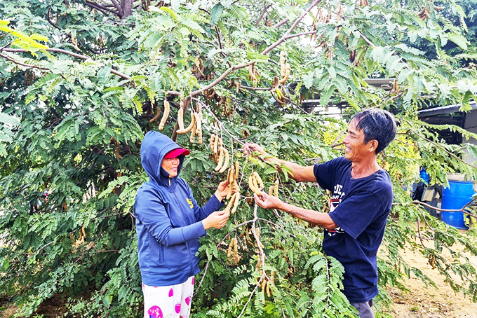 Tỷ phú "chân đất"