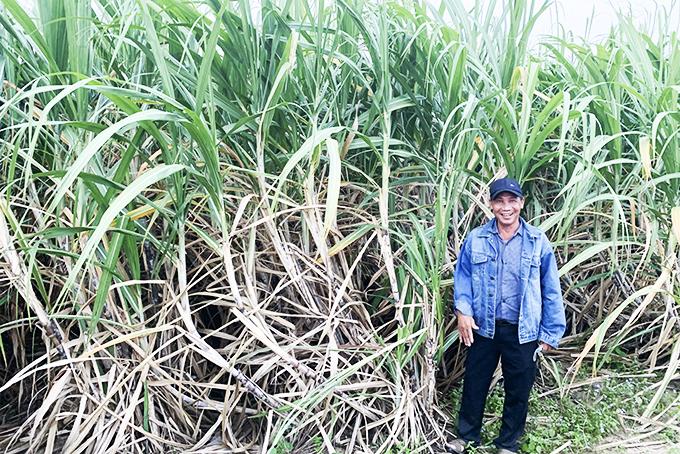 Ông Phan Kiến Nghĩa: Nông dân sản xuất kinh doanh giỏi