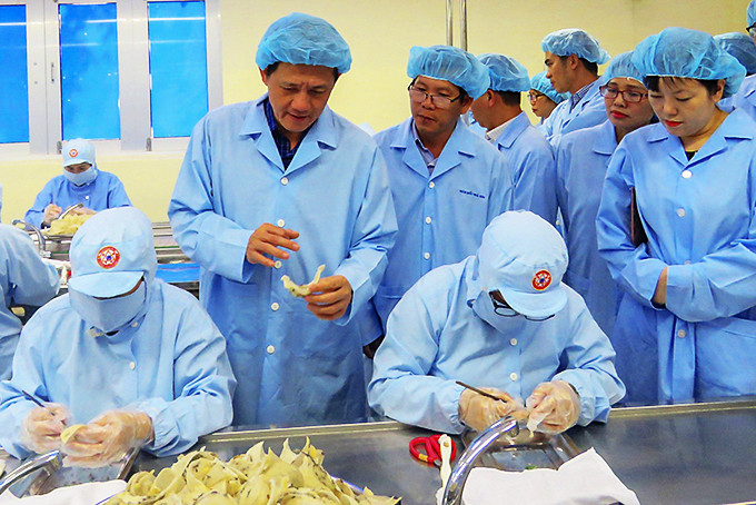 Ông Dương Tất Thắng - Cục trưởng Cục Chăn nuôi kiểm tra sản phẩm yến tổ  của Công ty Yến sào Khánh Hòa để chuẩn bị cho việc xuất khẩu.