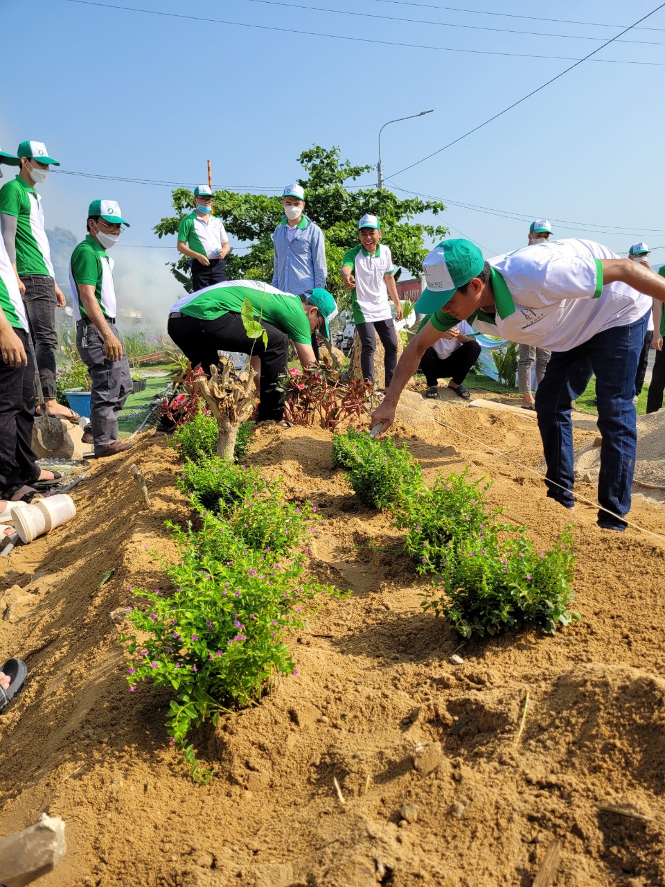Đoàn viên Công ty Cổ phần DT Food tham gia trồng cây xanh.