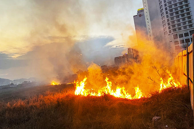 Đám cháy cỏ khô bùng phát tại khu vực sân bay Nha Trang cũ, nghi do người dân vứt tàn thuốc.